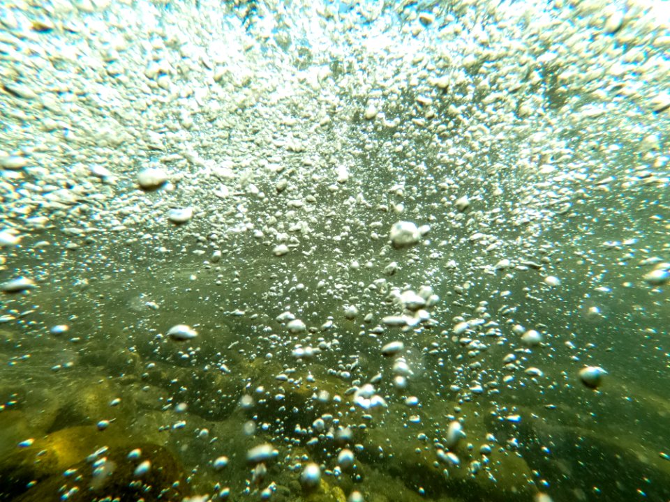 20190807-NRCS-LSC-1155