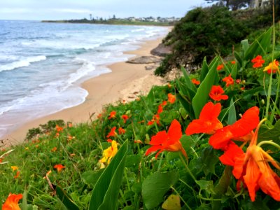 Beach Desire photo