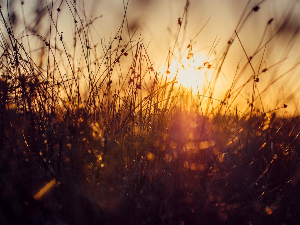 Sunset through sunlight