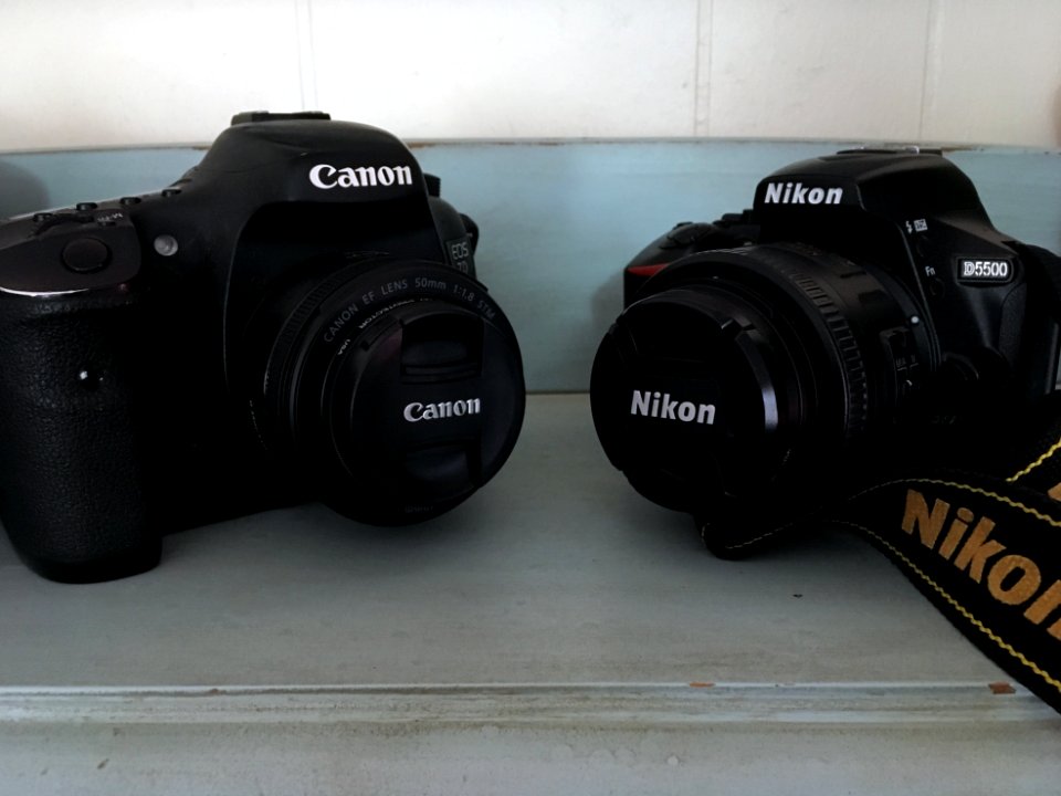 Canon and Nikon BFF