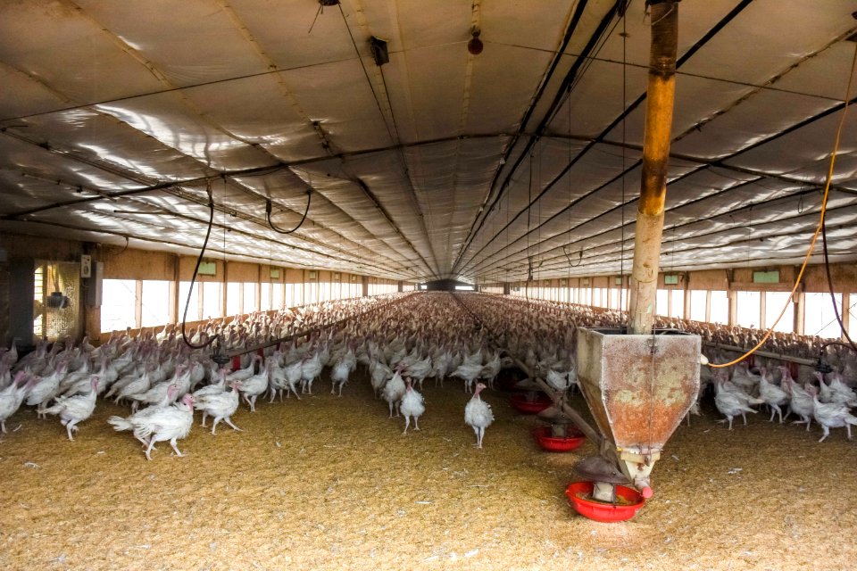 20201023-NRCS-BO-0077