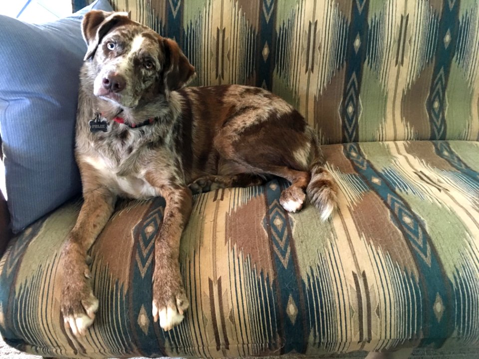 What Do You Mean "Couch Potato"?