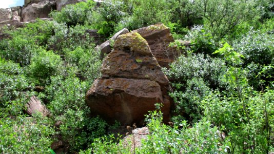 PRESA GPE. VICTORIA (27)