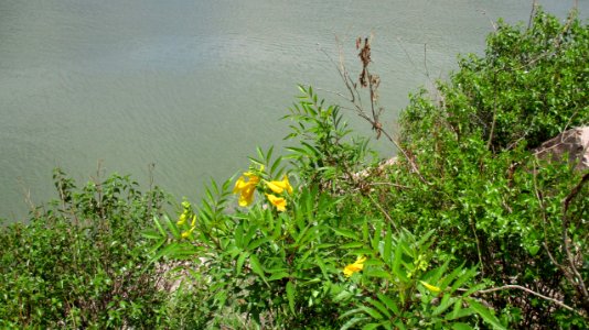 PRESA GPE. VICTORIA (28)
