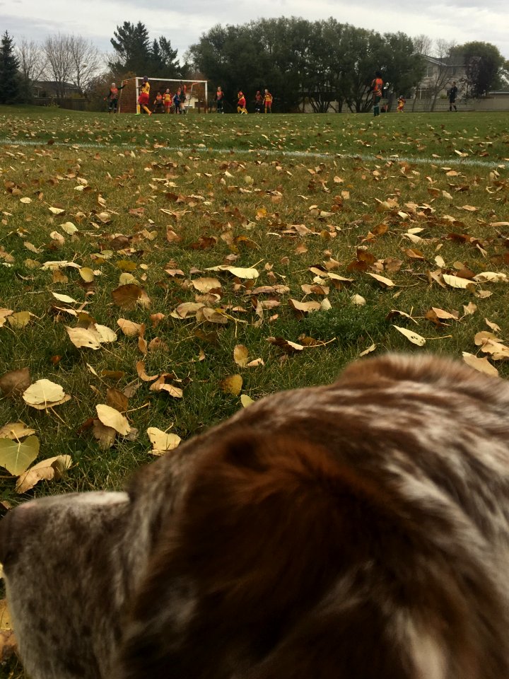Cheering For Soccer!