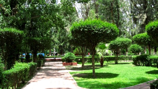 DURANGO  CALLES 2006 4   (73)