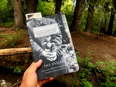 Read The End in the Trees
