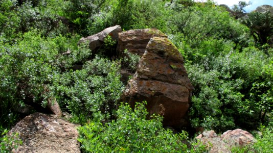 PRESA GPE. VICTORIA (30)