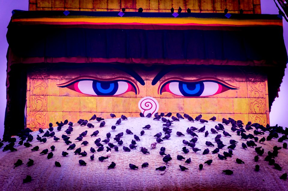 Two eyes