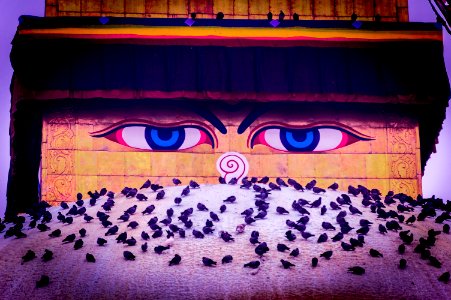 Two eyes