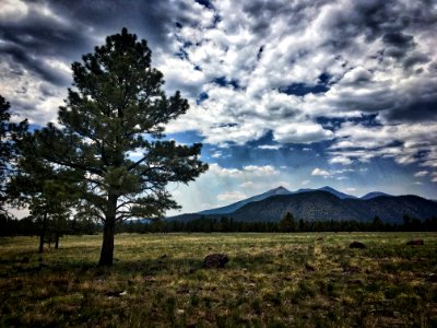 Behold, San Francisco Peaks photo