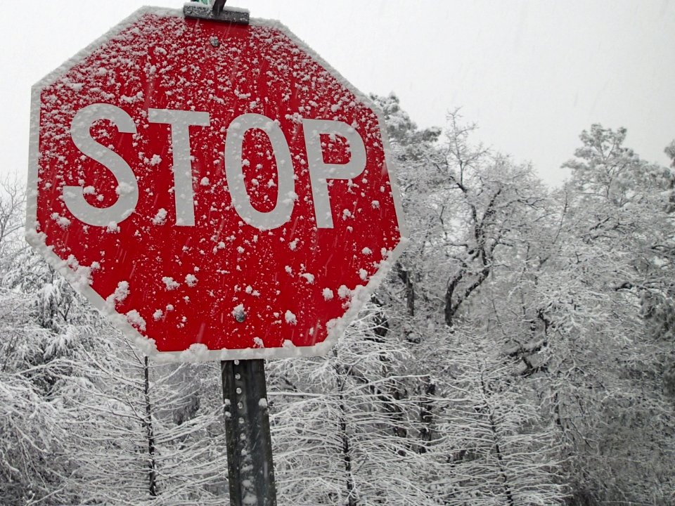 Don't Stop the Snow
