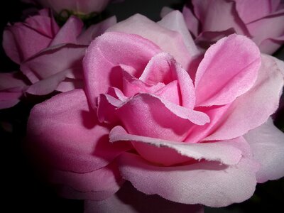 Pink flowers artificial