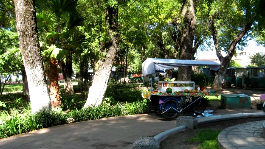 DURANGO  CALLES 2006 3  (58)