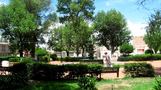 DURANGO  CALLES 2006 4   (50)