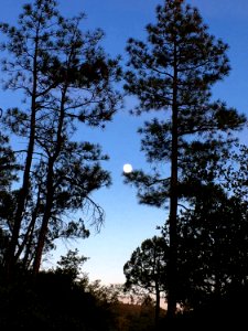 Playing Catch With the Moon photo