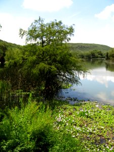LA FERRERIA (40)
