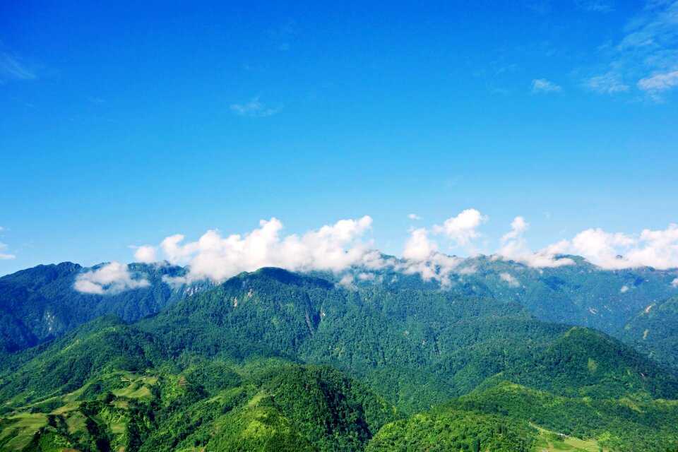 Blue clouds forests