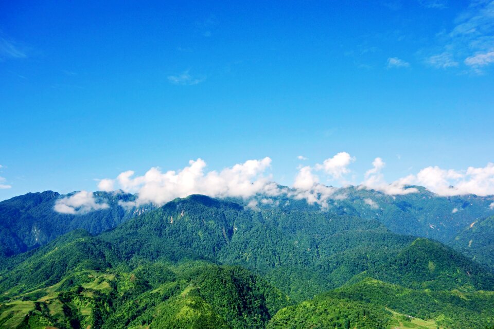 Blue clouds forests photo