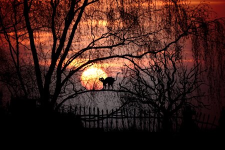 Evening atmosphere twilight photo