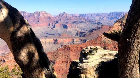 Canyon Between Two Trees