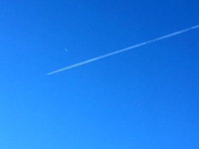 "Fly Me... Near the Moon"