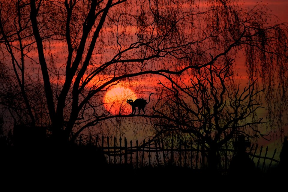 Evening atmosphere twilight