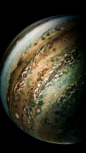 The Dolphin on Jupiter