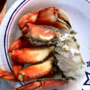 Crab feed