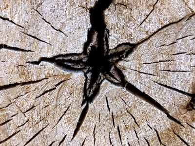 2020/366/252 Star Wood