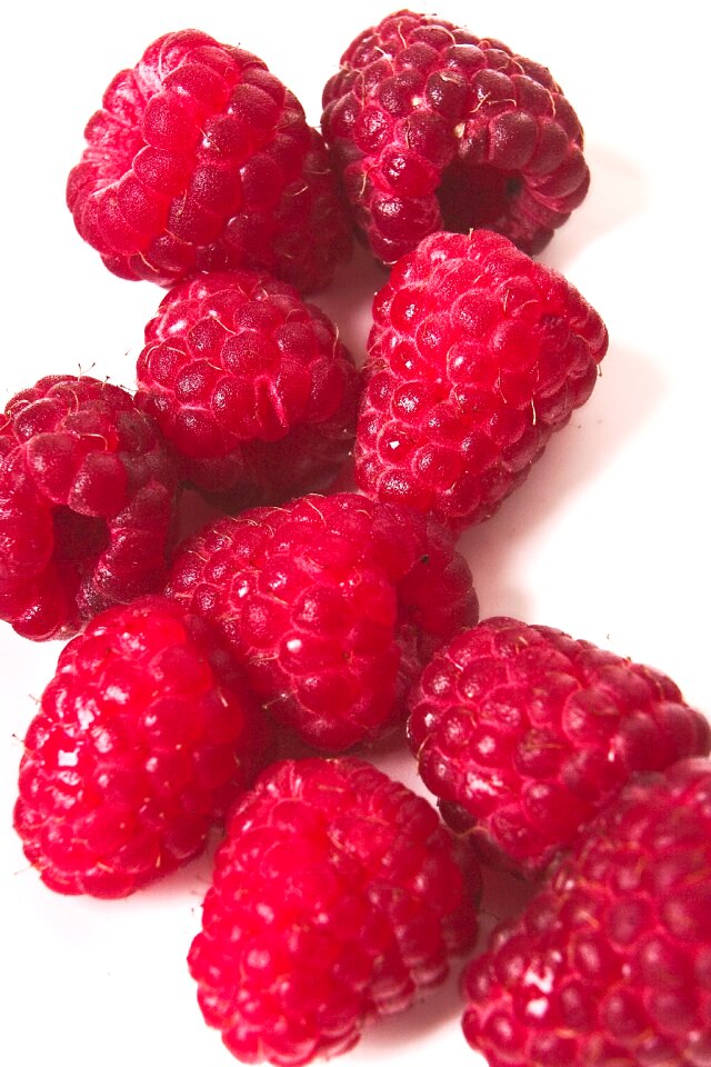 Rare harvest gourmet