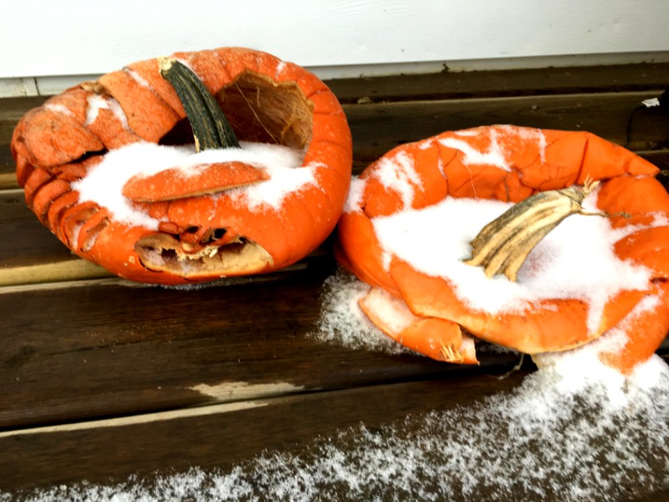 Trick or Trick