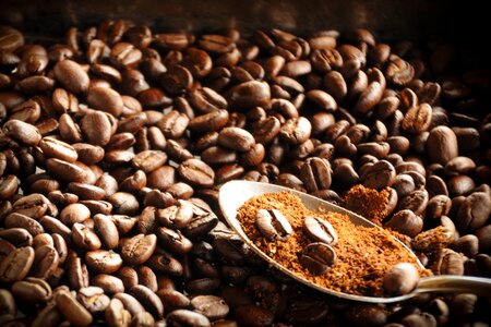 Coffee grain cafeteria