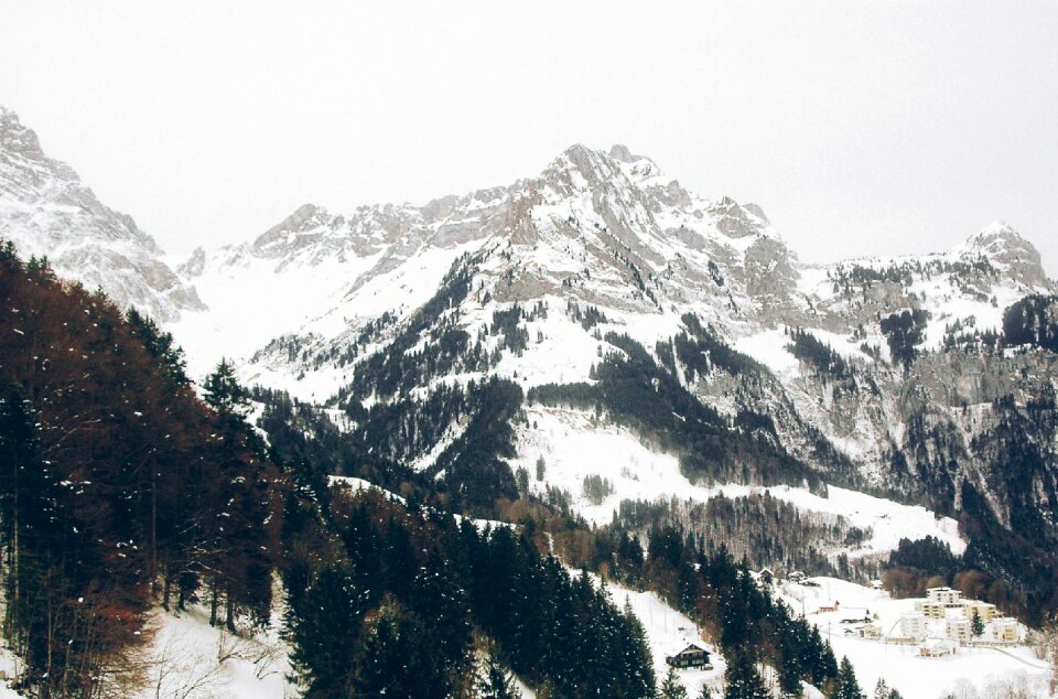 Forest adventure travel