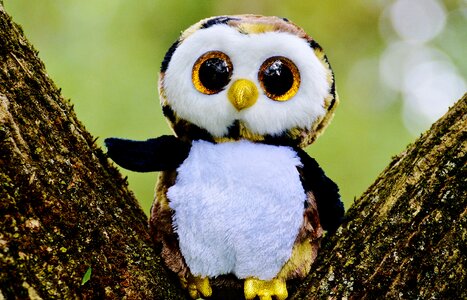 Cute goggle sweet