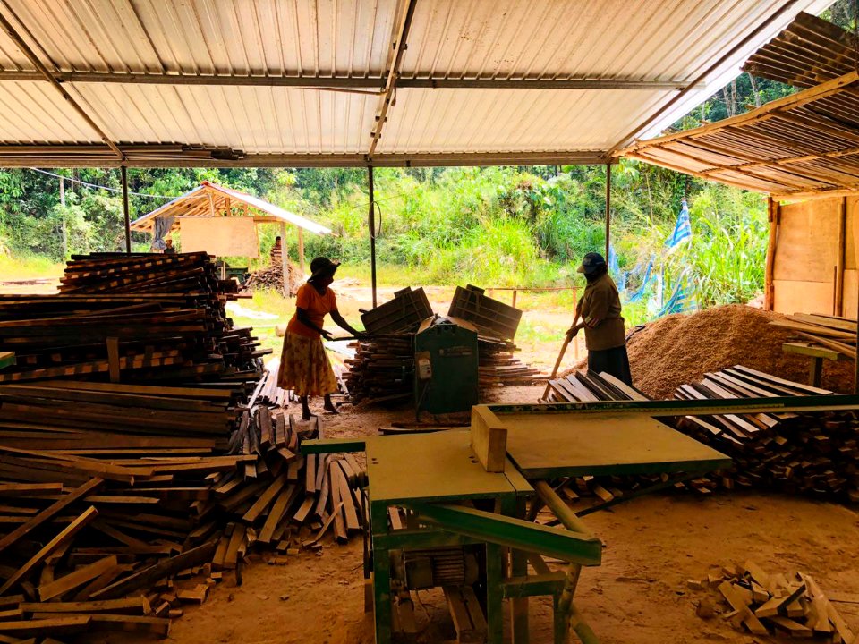 Making plywood in Sri Lanka - www.plywood.lk