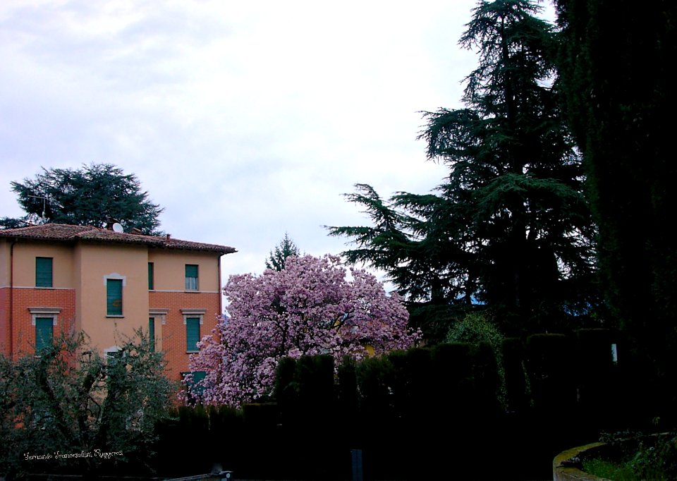 Casa EX Castellarin Porto di Portese San Felice del Benaco Brescia Lombardia Italia