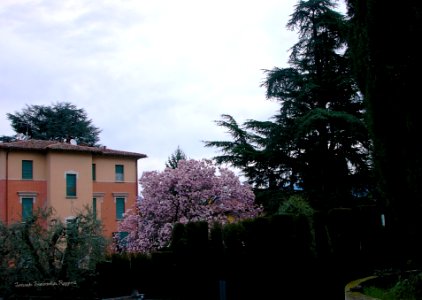 Casa EX Castellarin Porto di Portese San Felice del Benaco Brescia Lombardia Italia