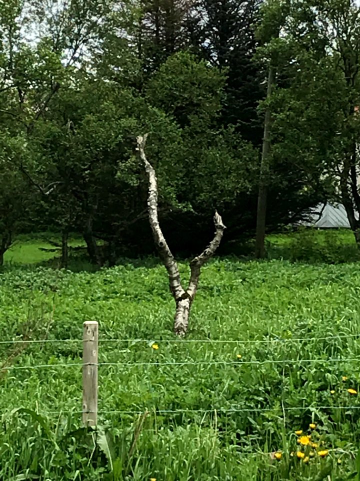 IMG 7791