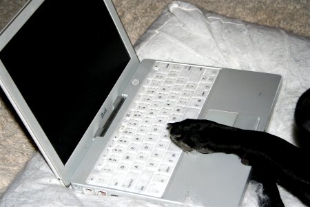 On the Internet...