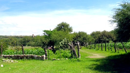 EL PUEBLITO (14)