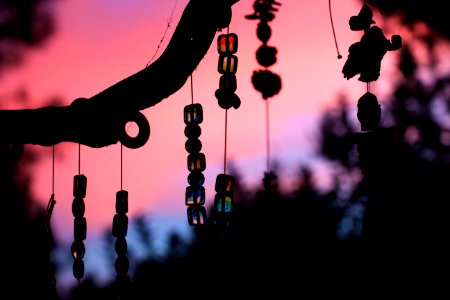 2015/365/244 Hanging in there for the Sunset