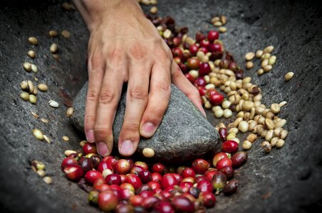Coffee coffee bean grain