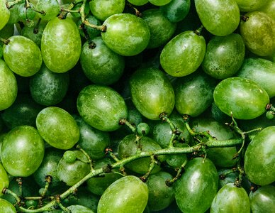 Food healthy green food