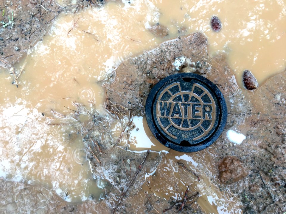 Water Everywhere