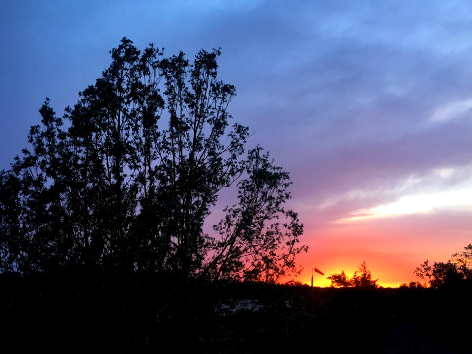Last Day's Embers Over Regina