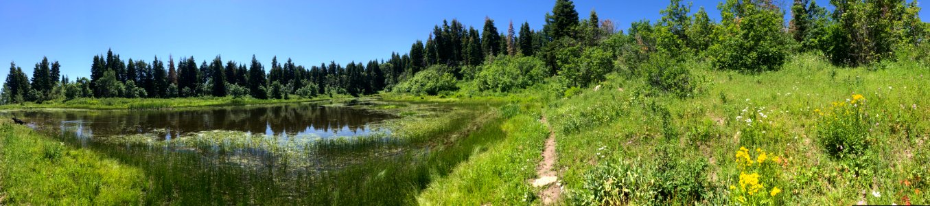 Panorama photos