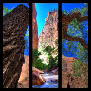 First Diptic