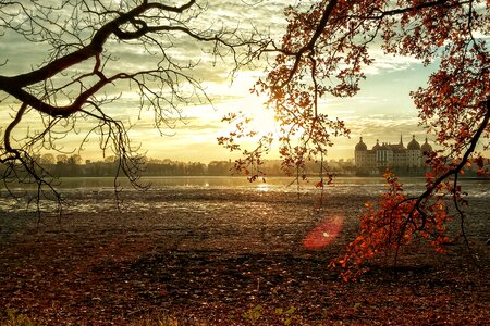 Schlossgarten castle park barockschloss photo