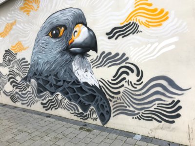 Reykjavík Graffiti photo